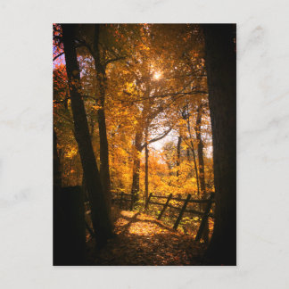 Herbstleaves Postkarte