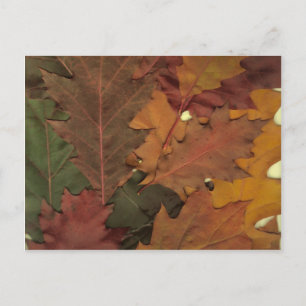 Herbstleaves Postkarte