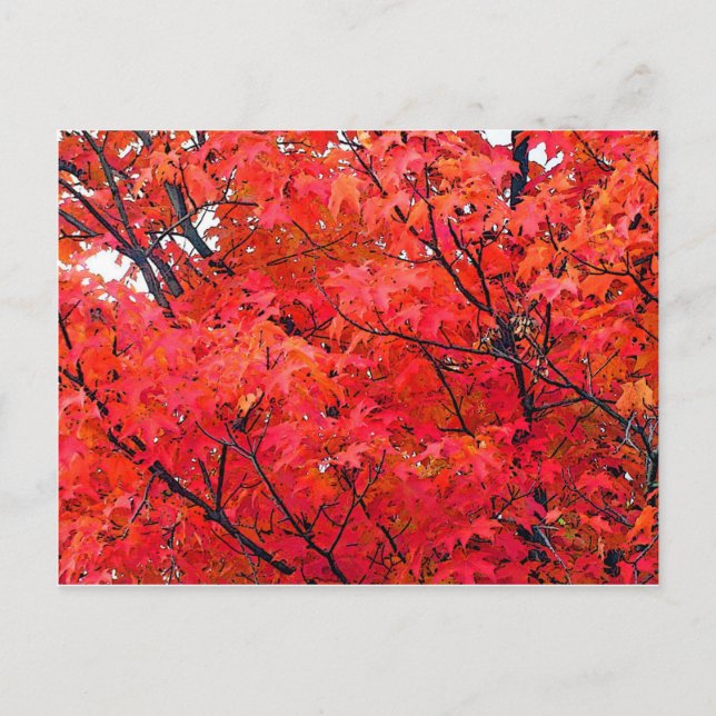 Herbstleaves Postkarte (Vorderseite)