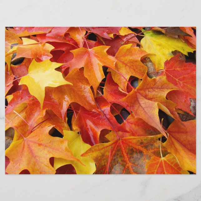 Herbstleaves Scrapbooking-Papier-Herbstlaub (Vorderseite)