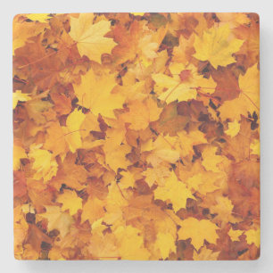 Herbstleaves Steinuntersetzer
