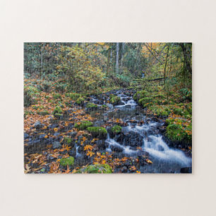 Herbstlebewesen am Gorton Creek Puzzle