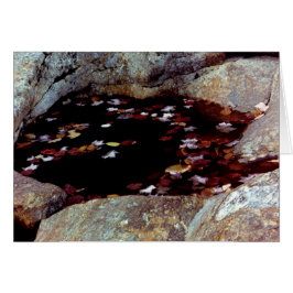 Herbstleere in einer Poolkarte