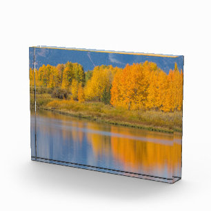 Herbstlich gefärbte Espen Fotoblock