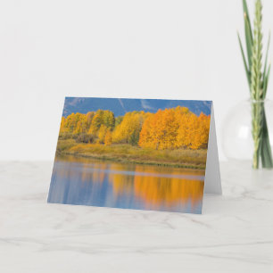Herbstlich gefärbte Espen Karte