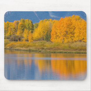 Herbstlich gefärbte Espen Mousepad