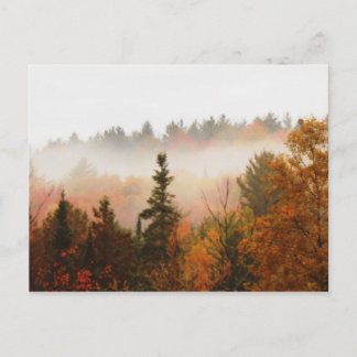 Herbstliche Adirondacks Bäume Landschaft Postkarte