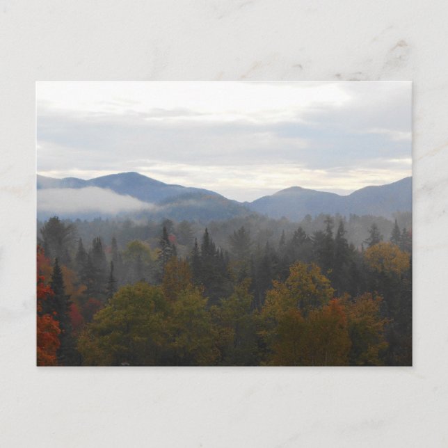 Herbstliche Adirondacks Bäume Landschaft Postkarte (Vorderseite)