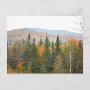 Herbstliche Adirondacks Bäume Landschaft Postkarte