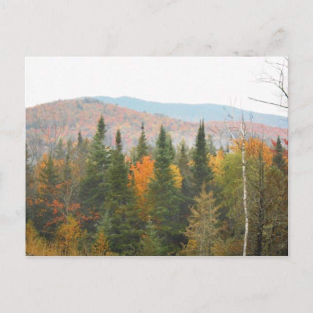 Herbstliche Adirondacks Bäume Landschaft Postkarte (Vorderseite)