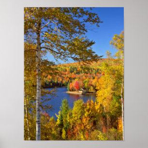 Herbstliche Baumlandschaft, Maine Poster