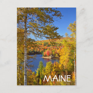 Herbstliche Baumlandschaft, Maine Postkarte