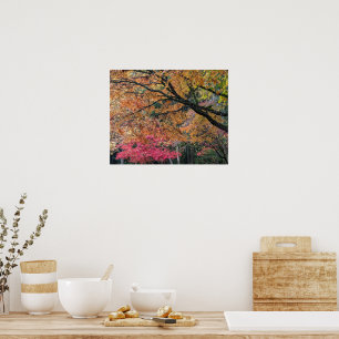 Herbstliche Blattfarben Botanisch Poster