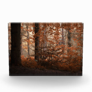 Herbstliche Dämmerung Fotoblock