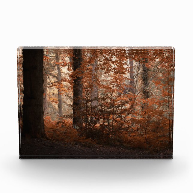 Herbstliche Dämmerung Fotoblock (Vorderseite)