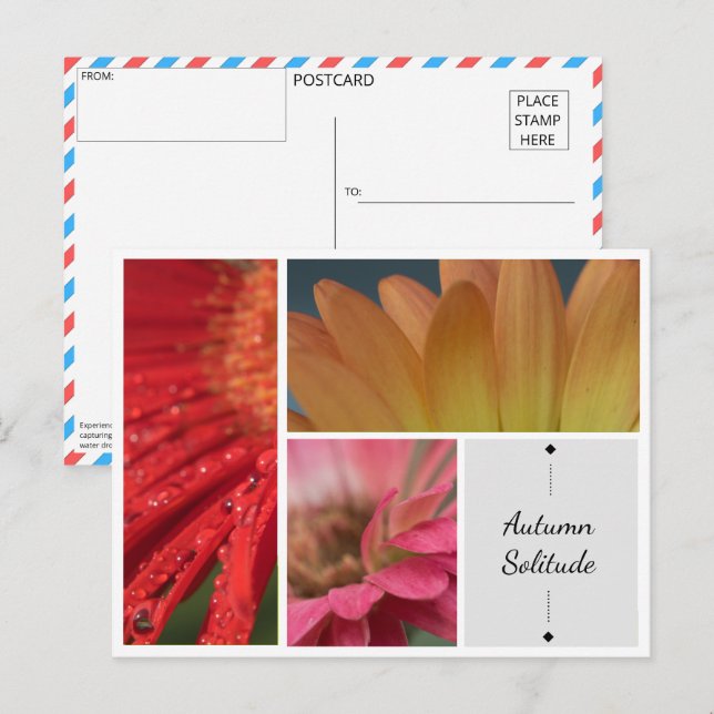 Herbstliche Einsamkeit - Blumenwasser-Droplets Pos Postkarte (Vorne/Hinten)