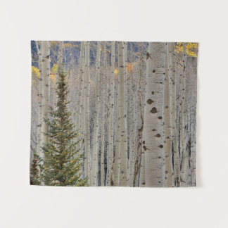 Herbstliche Espenhaine | Rocky Mountains Colorado Wandteppich