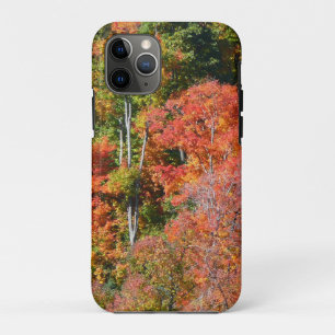 Herbstliche farbenfrohe Naturfotografie am Hang Case-Mate iPhone Hülle