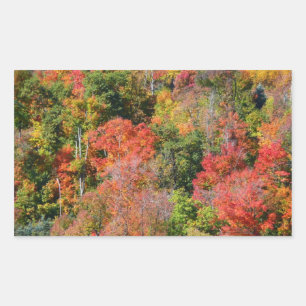 Herbstliche farbenfrohe Naturfotografie am Hang Rechteckiger Aufkleber