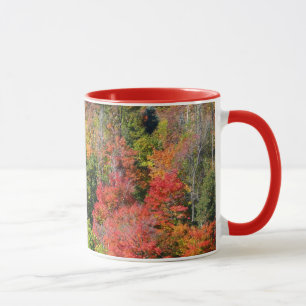 Herbstliche farbenfrohe Naturfotografie am Hang Tasse