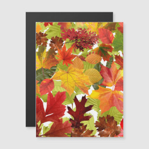 Herbstliche Herbstlaub Magnetkarte