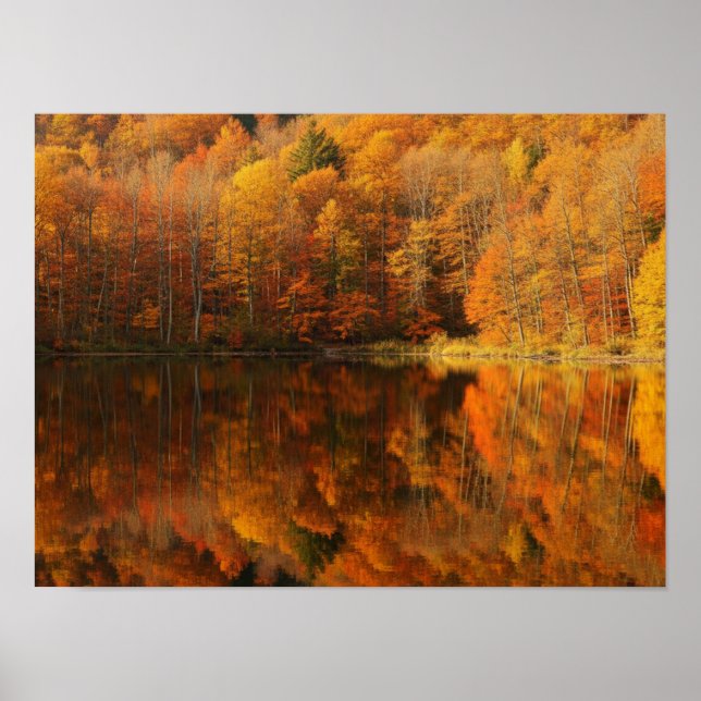 Herbstliche Reflexionen Poster (Vorne)