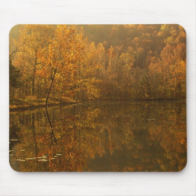 Herbstliche Spiegelungen auf dem Teich. Mousepad (Vorne)