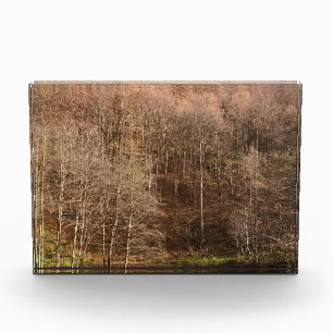 Herbstliche Waldlandschaft - Wilde Natur Rumänien Fotoblock