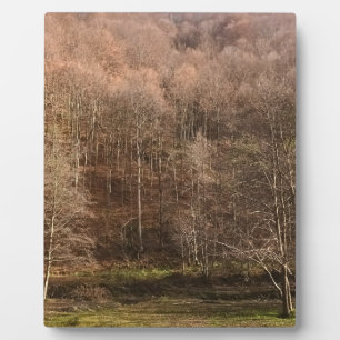 Herbstliche Waldlandschaft - Wilde Natur Rumänien Fotoplatte