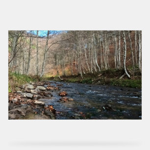 Herbstlicher Gebirgsfluss – Wilde Natur Rumänien Acrylschild
