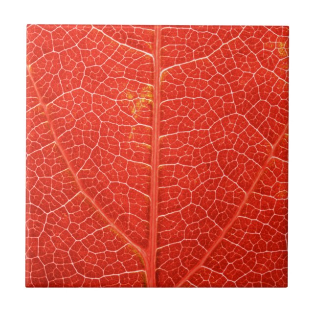 Herbstliches Blatt Fliese (Vorderseite)