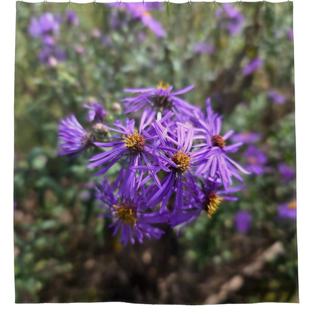 Herbstliches Purpurleuchten Duschvorhang (Vorderseite)