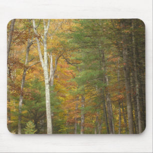 "Herbstmagie" Mousepad