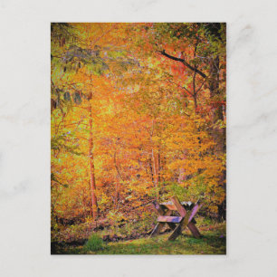 Herbstmagie Postkarte