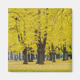 Herbstmagnet Magnet