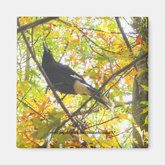 Herbstmagpie - Magnet