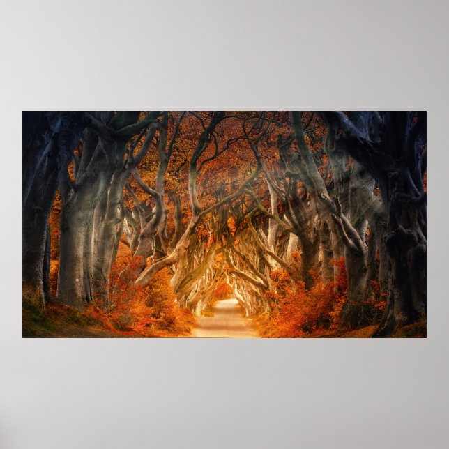 Herbstmapfelwald fällt Wälder Blätter Poster (Vorne)