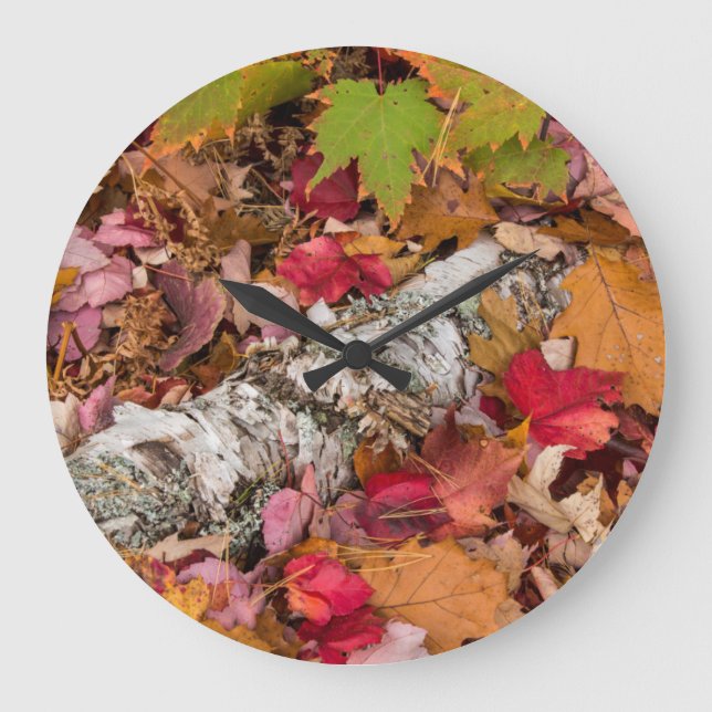 Herbstmaple-Blätter decken Birkenrinde im Wald ab Große Wanduhr (Vorderseite)