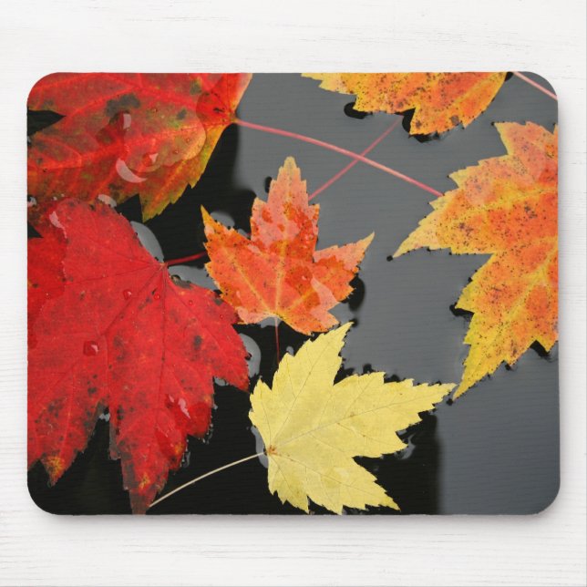 Herbstmaple Blätter Rote Mousepad (Vorne)