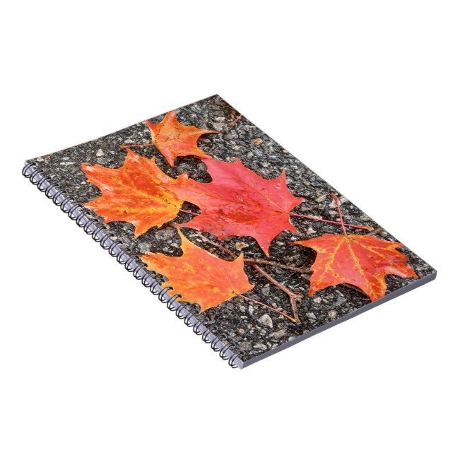 Herbstmaple-Blätter SpiralNotebook Notizblock (Rechte Seite)