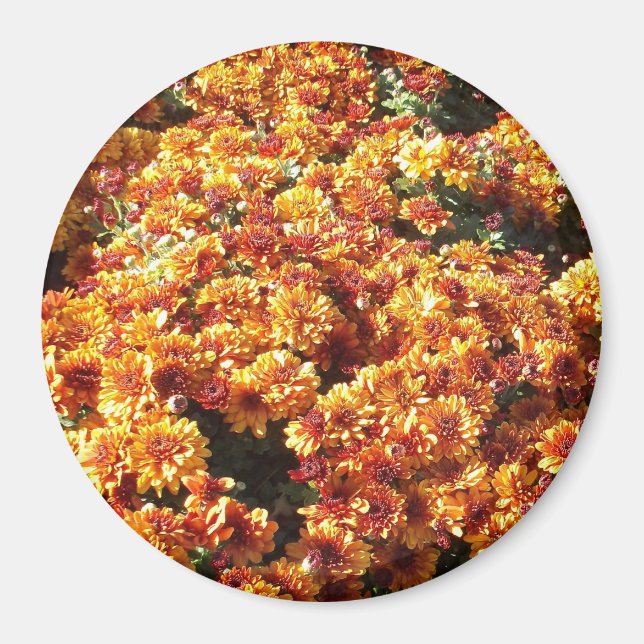 Herbstmassen Magnet (Vorne)