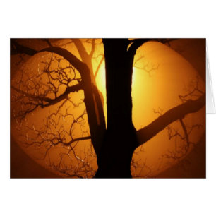 Herbstmond strahlt durch den Baum