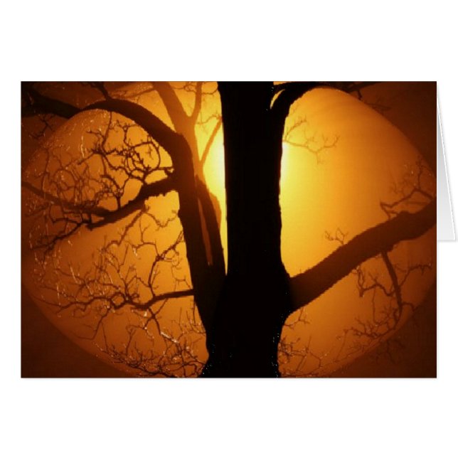 Herbstmond strahlt durch den Baum (Vorderseite (Horizontal))