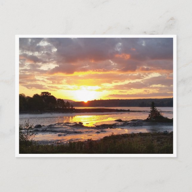 Herbstmorgen an der Maine-Küste Postkarte (Vorderseite)