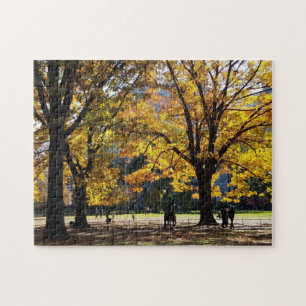 Herbstnachmittag im Central Park Puzzle