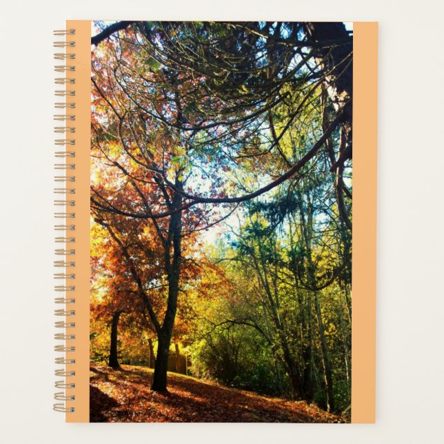 Herbstnachmittag Planer (Vorderseite)