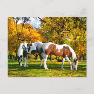 "Herbstnachmittag"  Postkarte