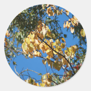 Herbstnachmittag Runder Aufkleber