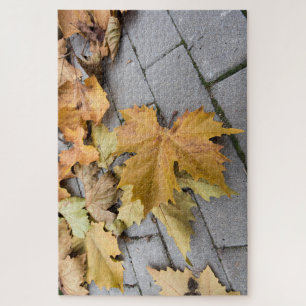 Herbstnachweise Puzzle