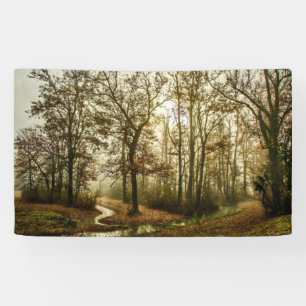 Herbstnebel im Wald Banner